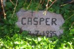 Casper.JPG
