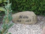 Hille.JPG