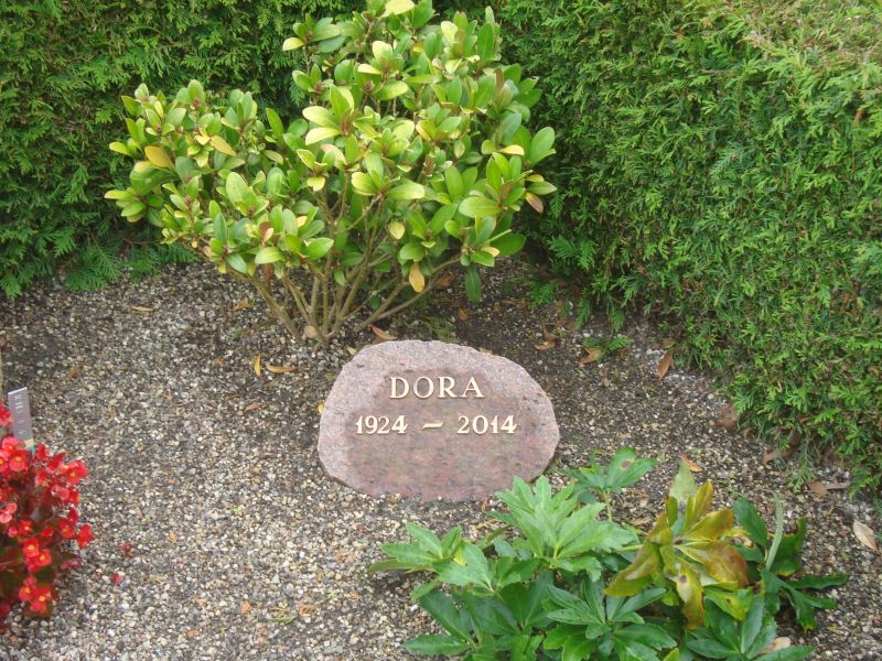 Dora.JPG