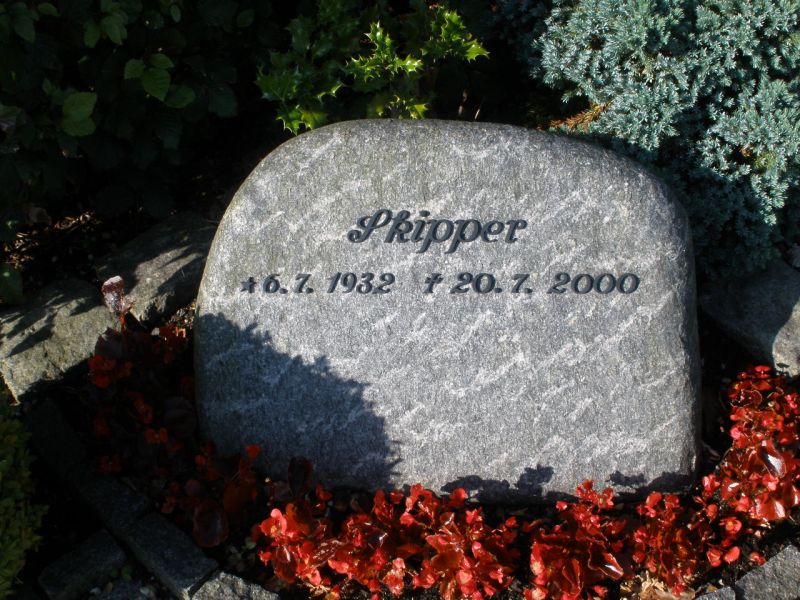Skipper.JPG