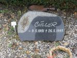 Buller.JPG