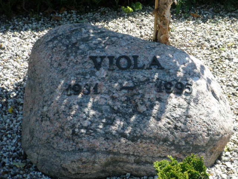 Viola.JPG