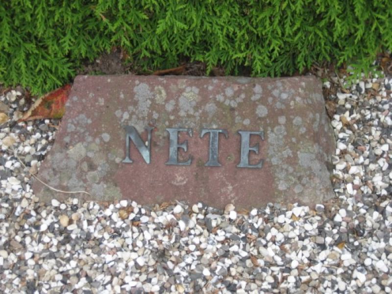 Nete.jpg