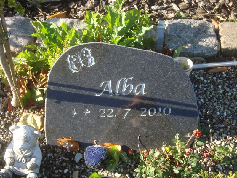 Alba.JPG