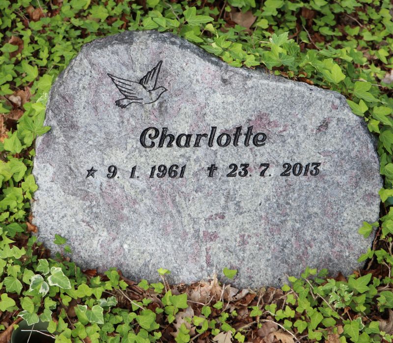 Charlotte.JPG