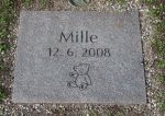 Mille.JPG