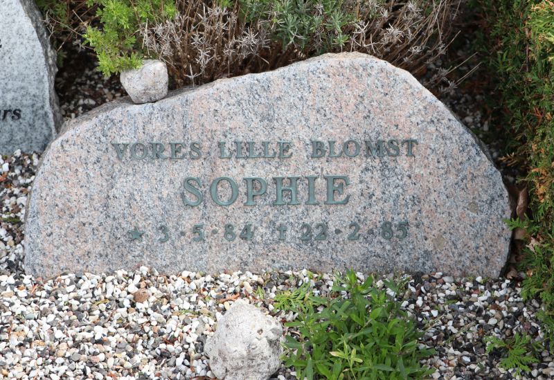 Sophie.JPG