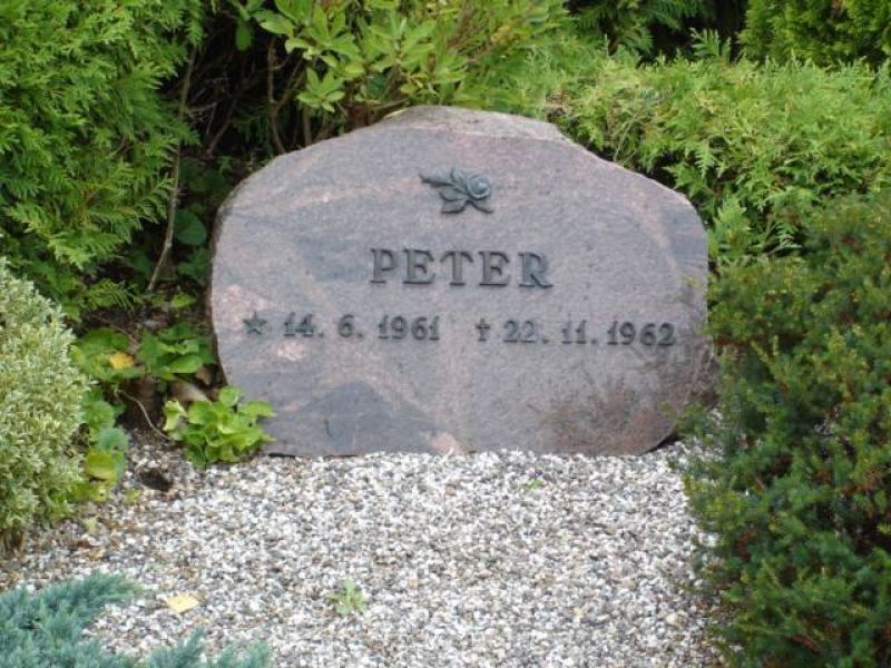 Peter.jpg