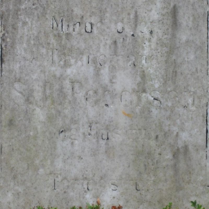 S.P.1.jpg