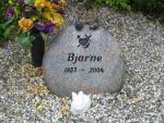 Bjarne.jpg
