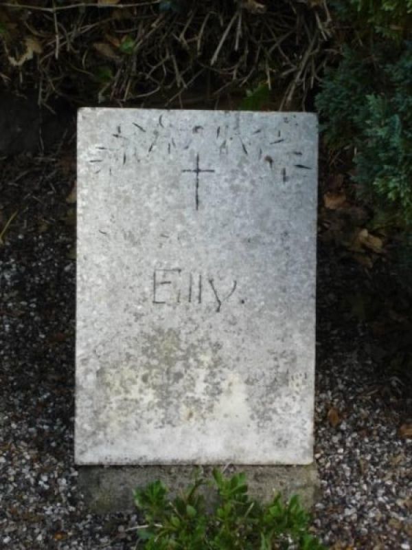 Elly.jpg